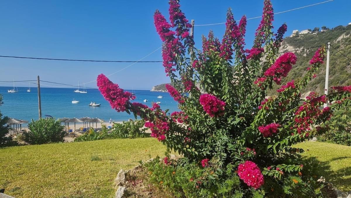Afión San George Cove 아파트 호텔 외부 사진